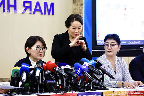 ЭМЯ: Таван хүн тусгаарлалтад, 335 иргэн ажиглалтад байна 